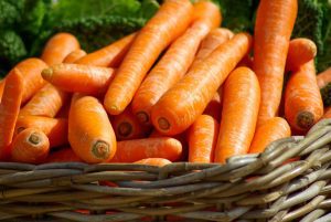 Cesto di carote